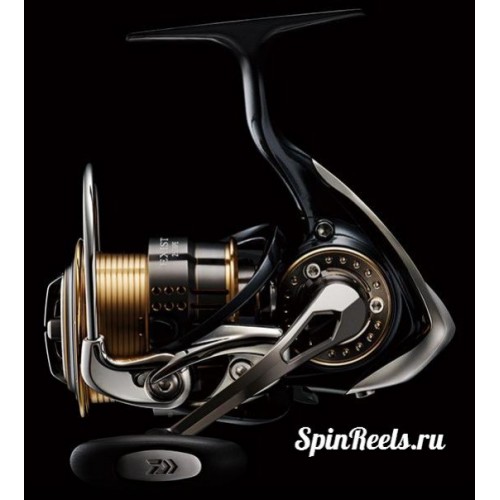 DAIWA 15イグジスト 1025の+researchafricapublications.com